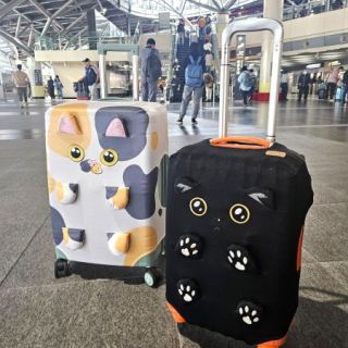 Taispo exhibition (45)